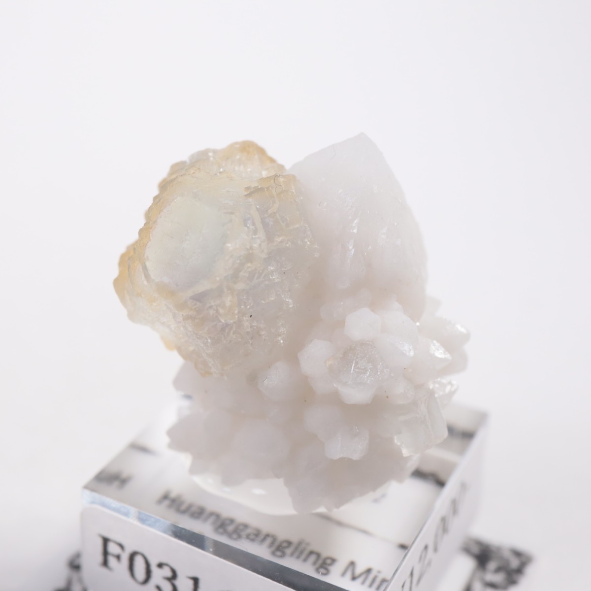 ���󥴥뻺 �ե����饤��