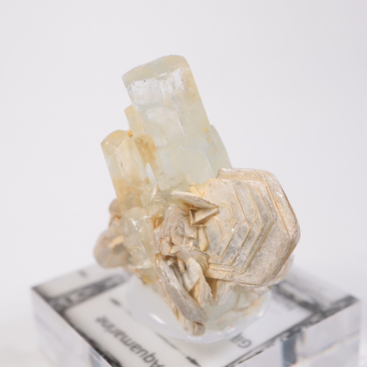 �ѥ������󻺡��������ޥ��