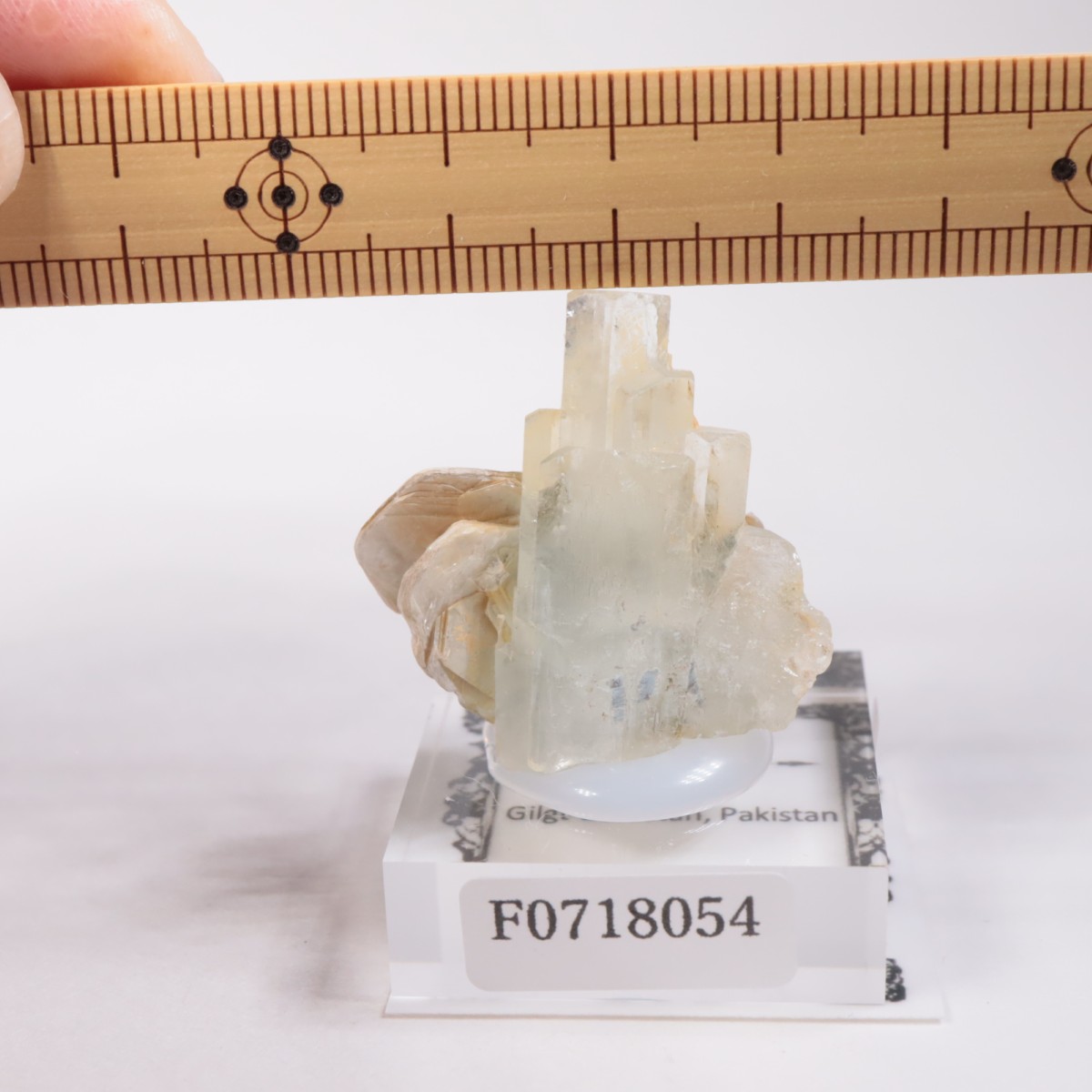 �ѥ������󻺡��������ޥ��