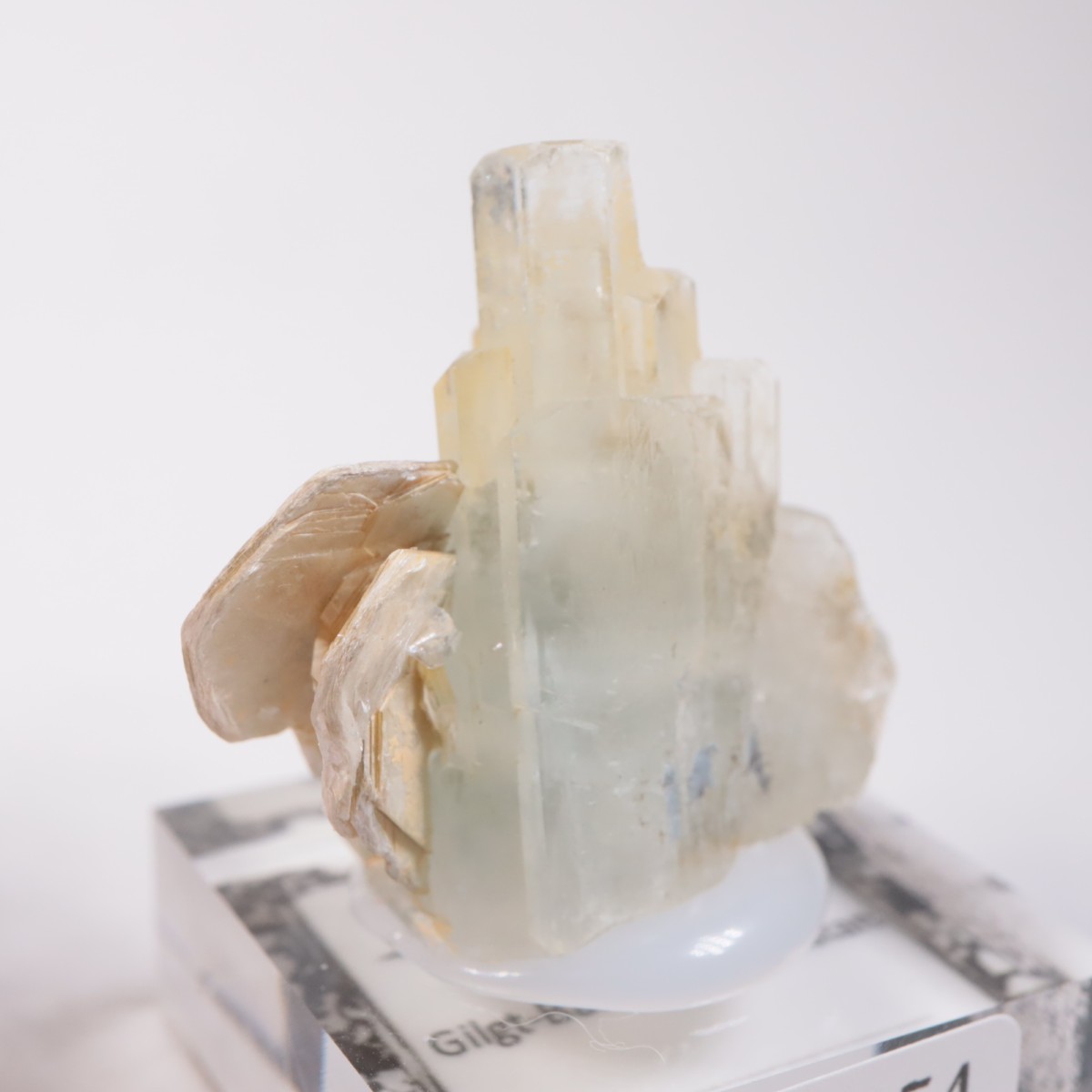 �ѥ������󻺡��������ޥ��