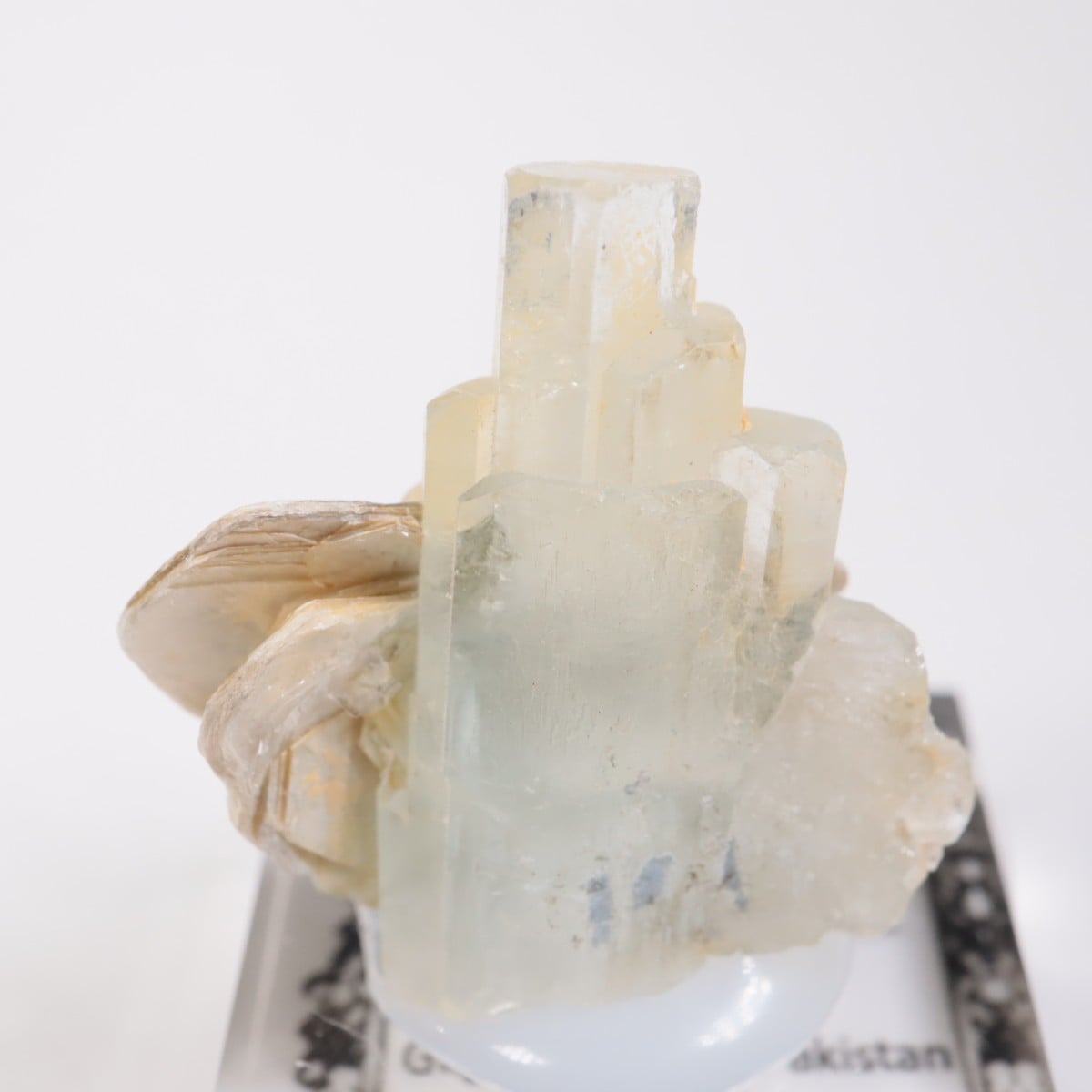 �ѥ������󻺡��������ޥ��