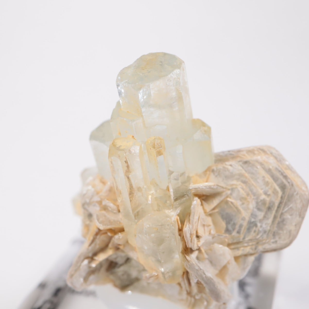 �ѥ������󻺡��������ޥ��