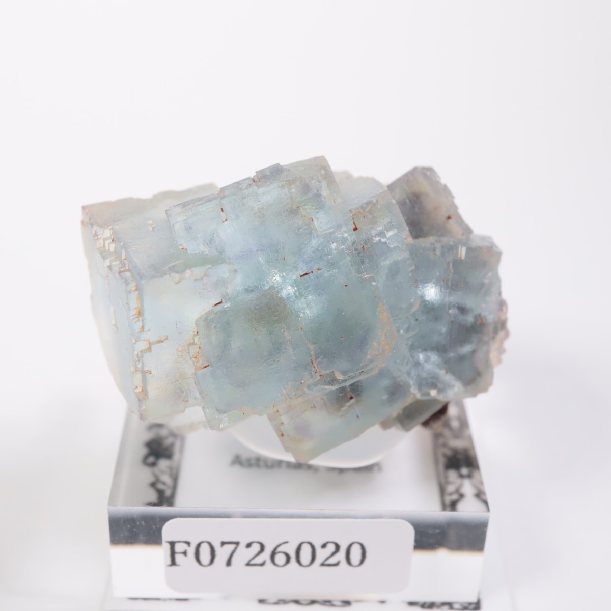 ���ڥ��� �ե����饤��