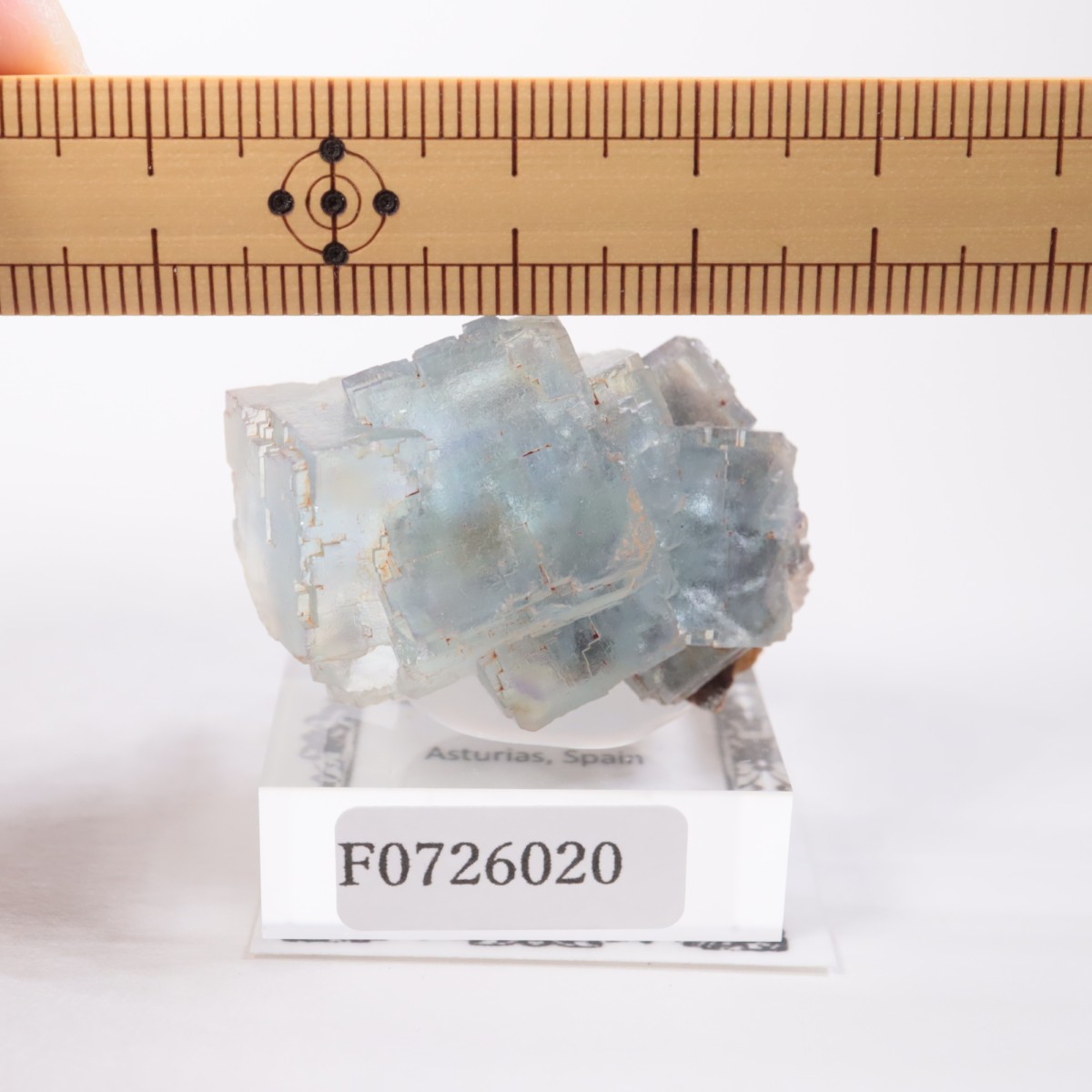 フローライト 蛍石 内モンゴル産 鉱物 標本 中国 原石 内モンゴル産 フローライト | 鉱物標本,ハ行,フローライト/蛍石