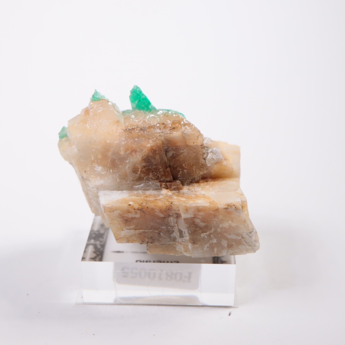 Muzo�ۻ� �������