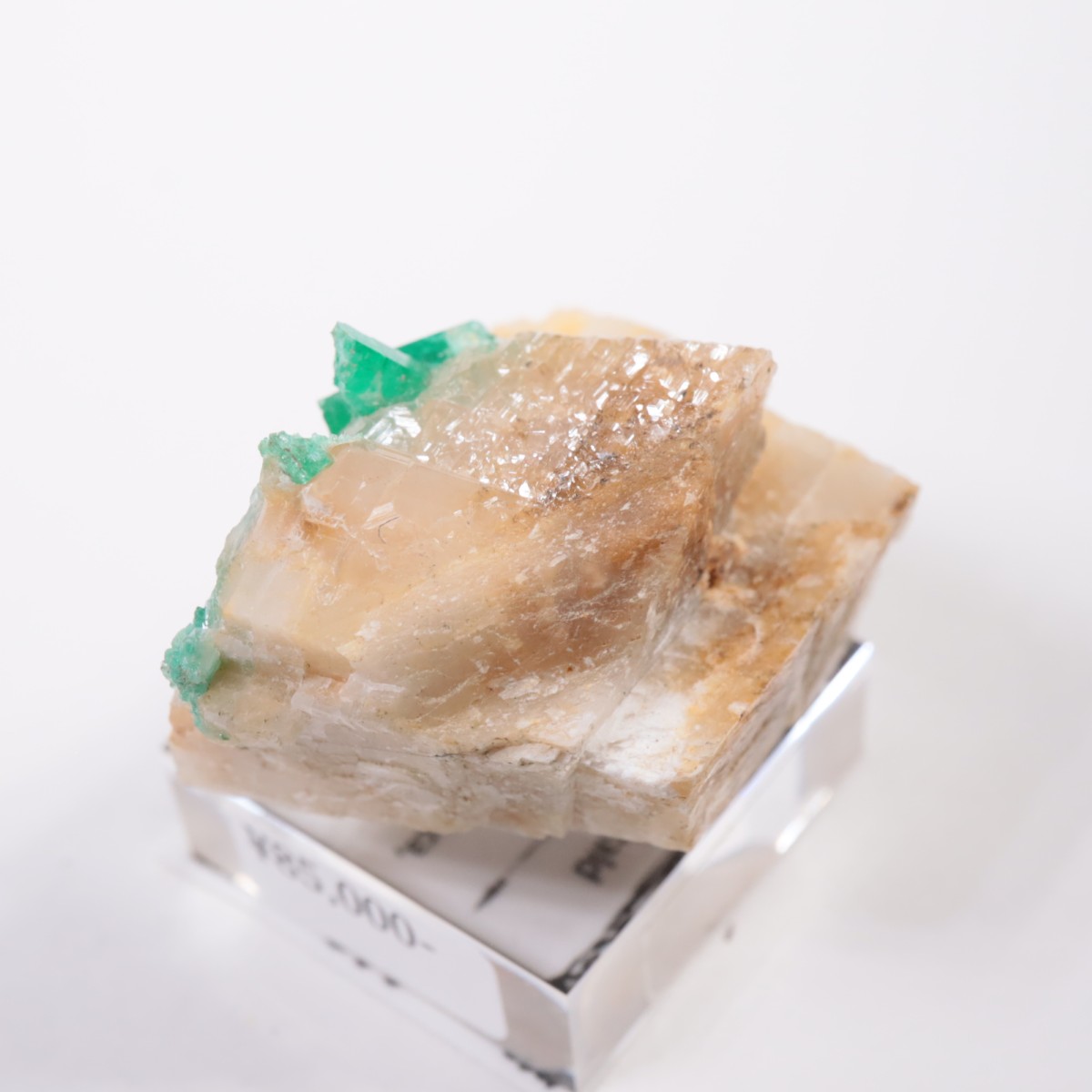 Muzo�ۻ� �������