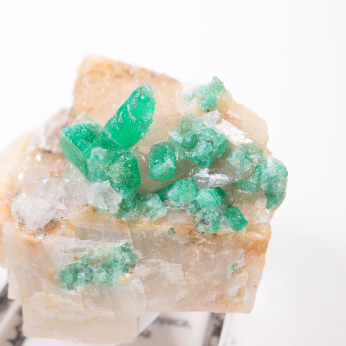 Muzo�ۻ� �������