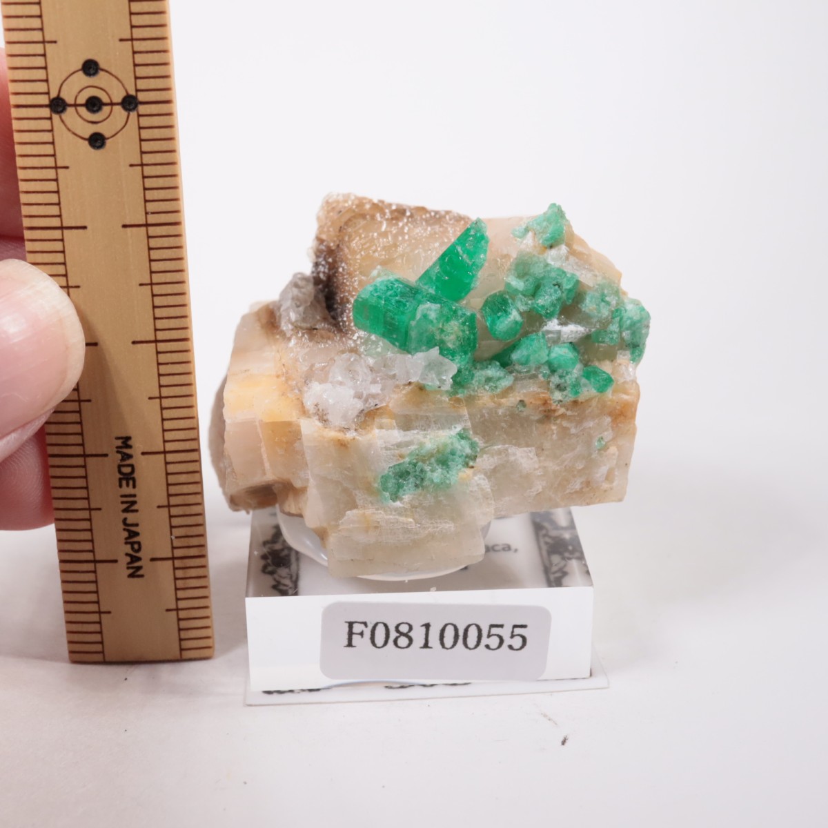 Muzo�ۻ� �������