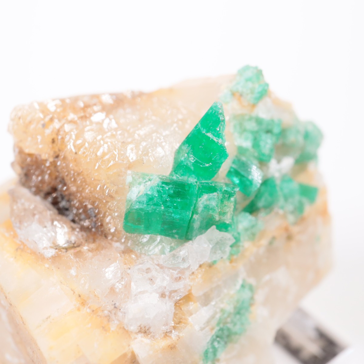 Muzo�ۻ� �������