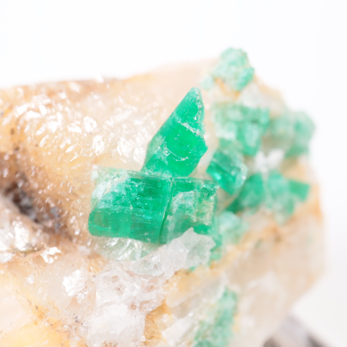 Muzo�ۻ� �������