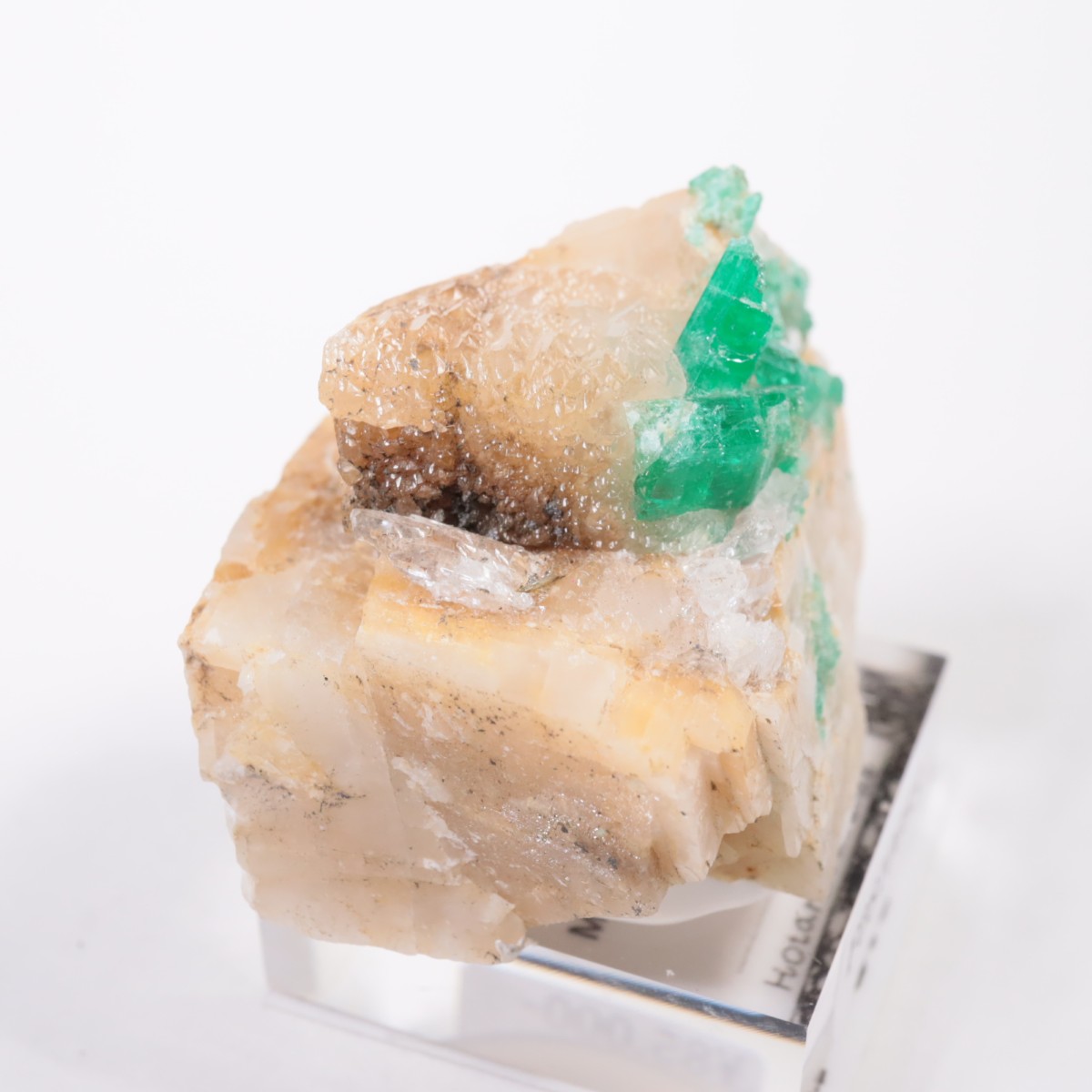 Muzo�ۻ� �������