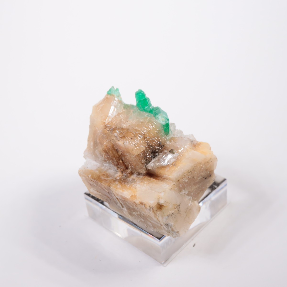 Muzo�ۻ� �������