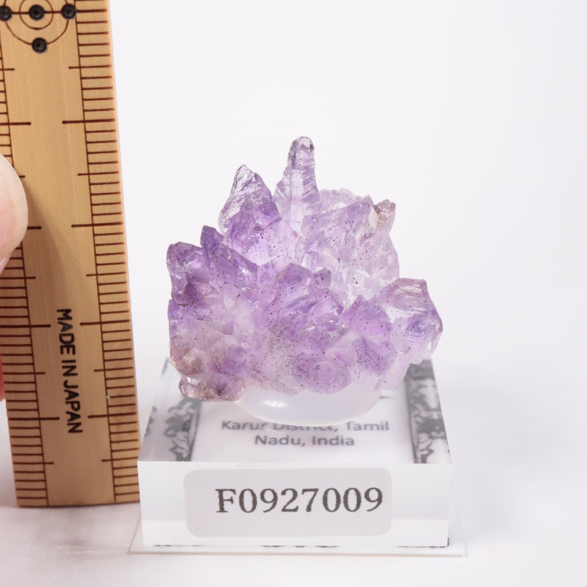 ����ɻ� ���᥷����