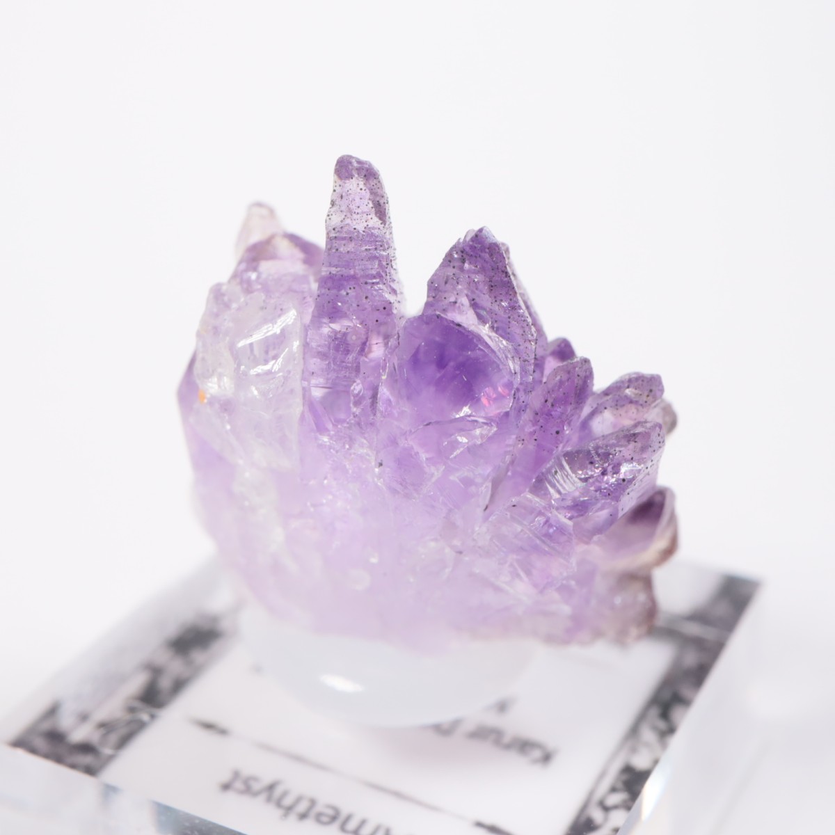 ����ɻ� ���᥷����