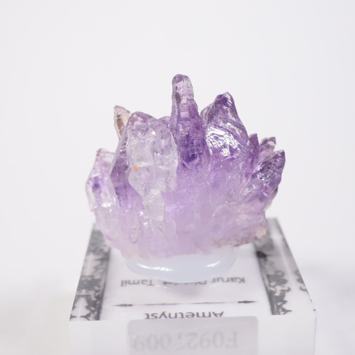 ����ɻ� ���᥷����