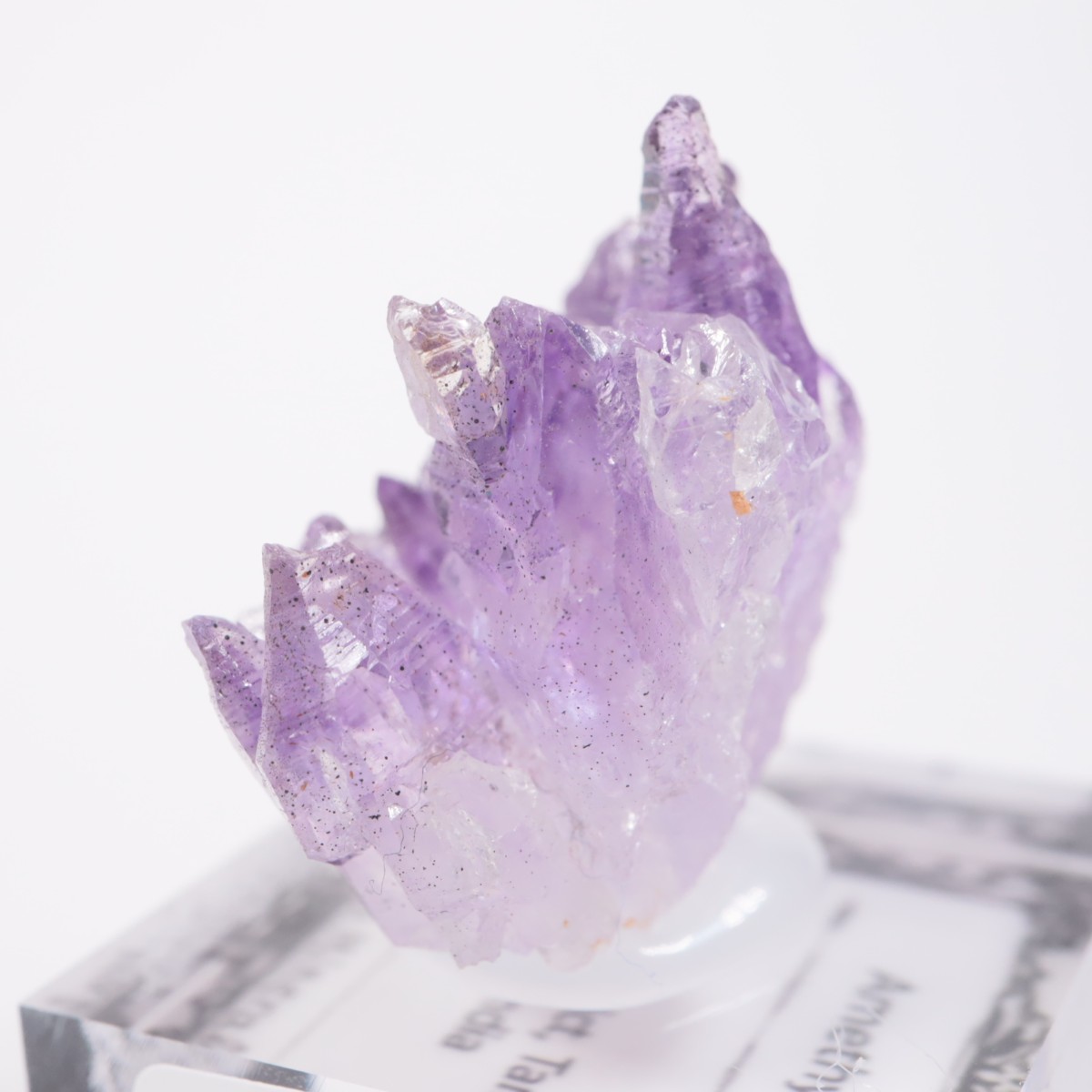 ����ɻ� ���᥷����