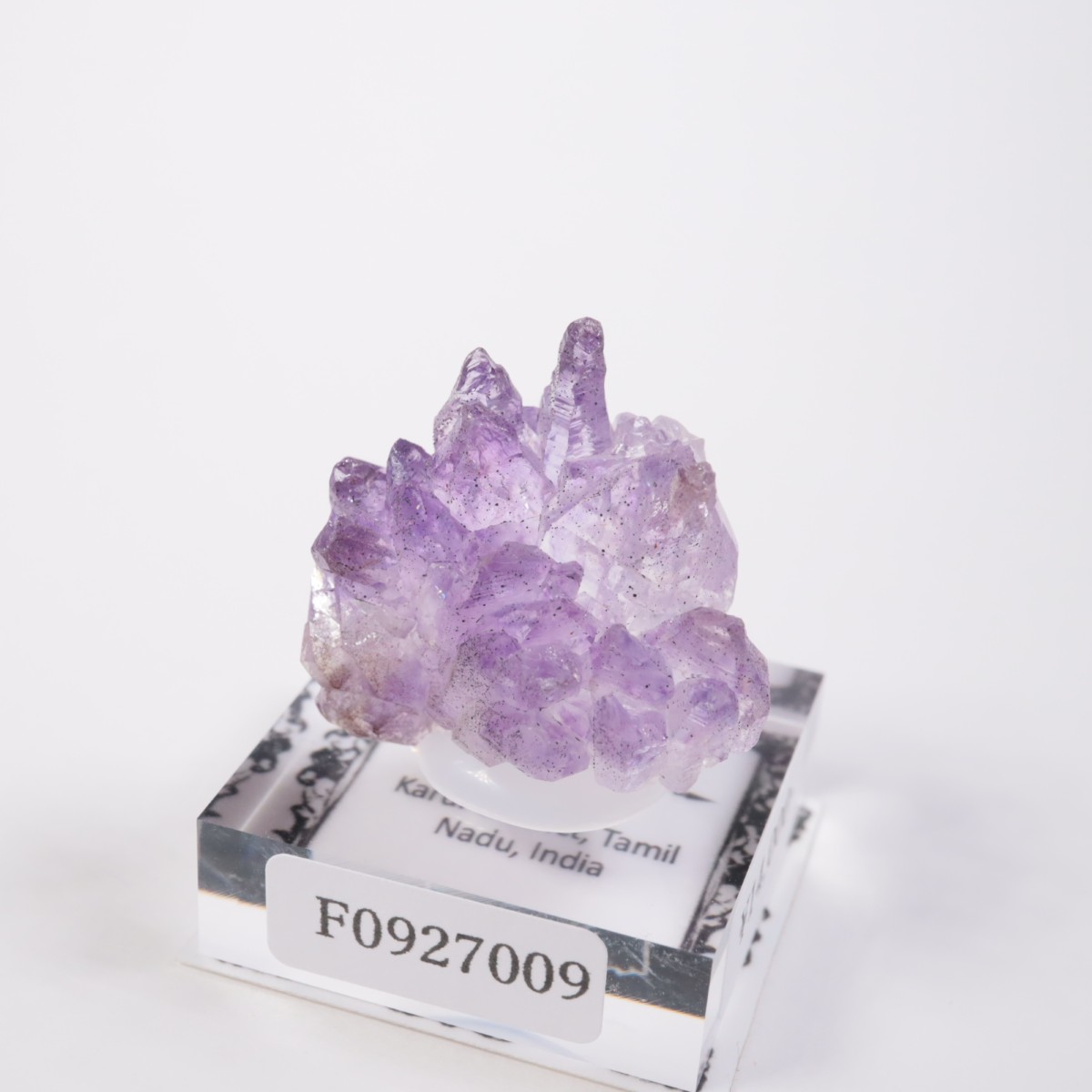 ����ɻ� ���᥷����