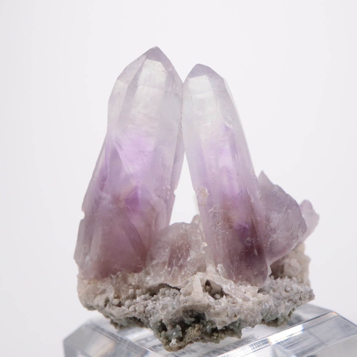 ������� ���᥷����