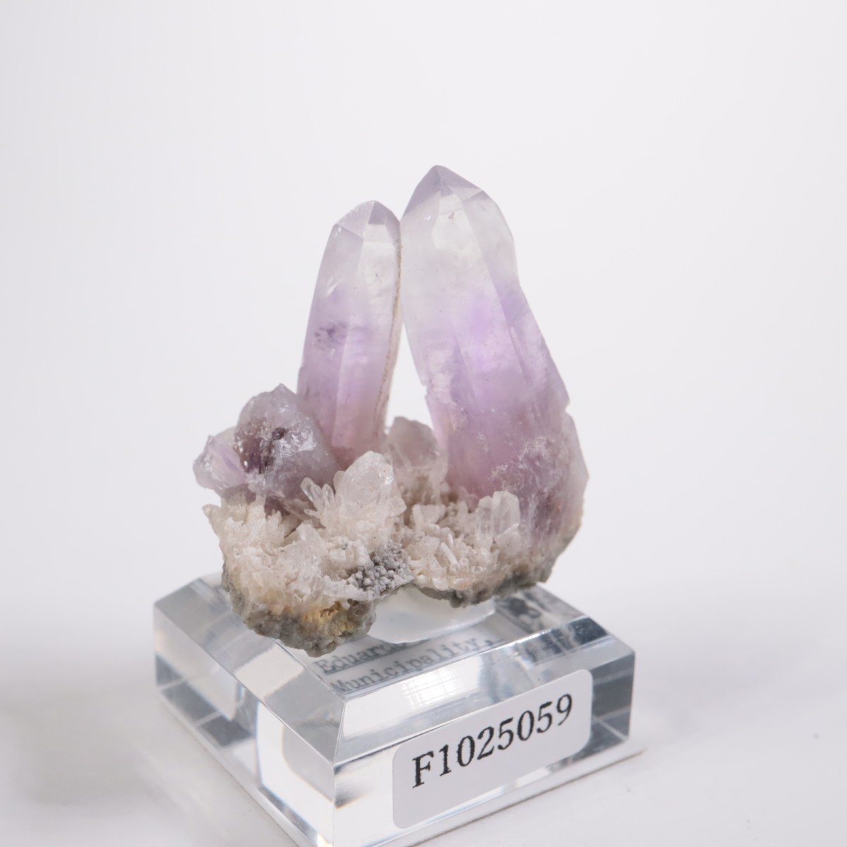 ������� ���᥷����