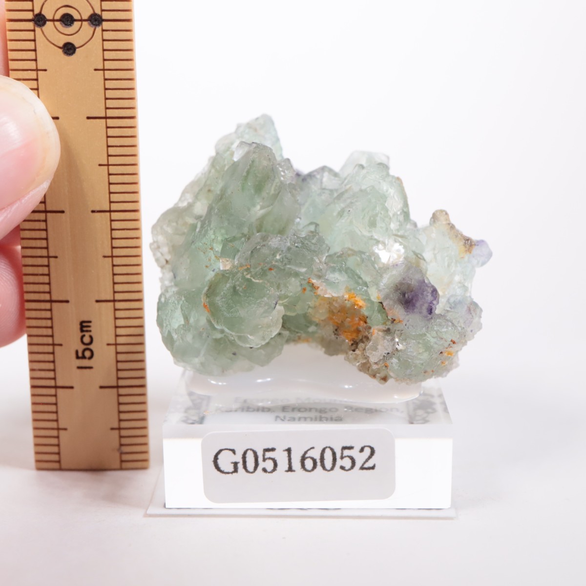 �����󥴹ۻ��� �ե����饤��