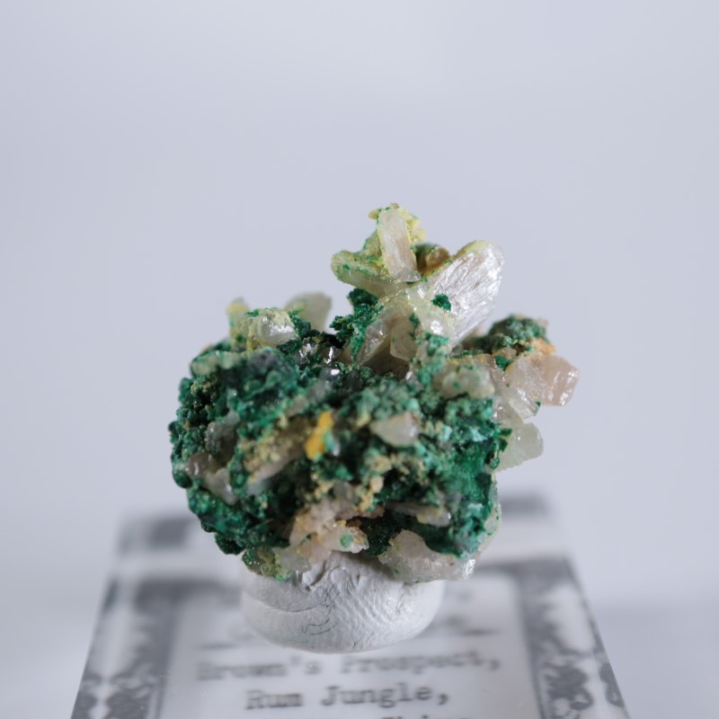 �������ȥ�ꥢ�����ޥ饫���ȡ����륵����