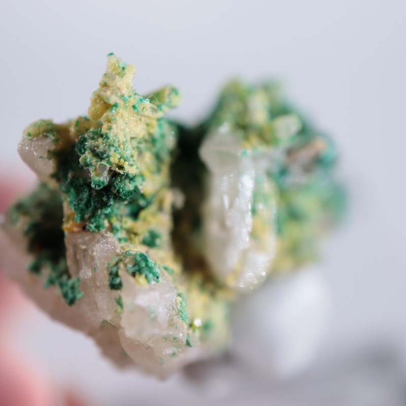 �������ȥ�ꥢ�����ޥ饫���ȡ����륵����