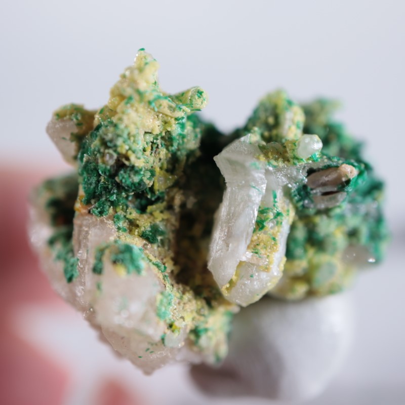 �������ȥ�ꥢ�����ޥ饫���ȡ����륵����