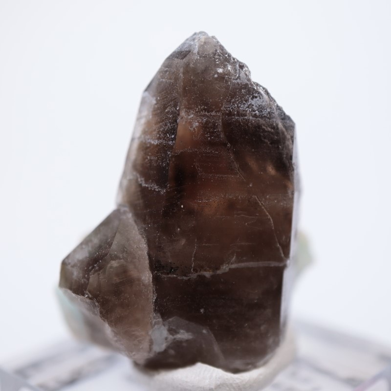 コロラド州 アマゾナイト、煙水晶 | 鉱物標本,サ行,スモーキークォーツ
