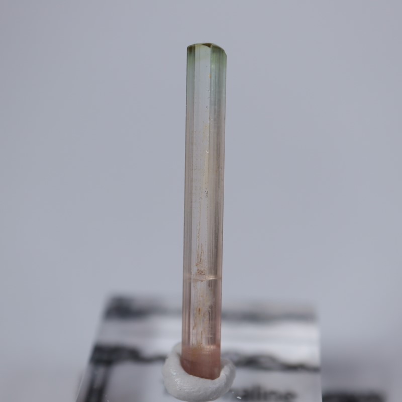 DRコンゴ産 トルマリン 鉱物標本 原石 コンゴ産 トルマリン | 鉱物標本,タ行,トルマリン/電気石