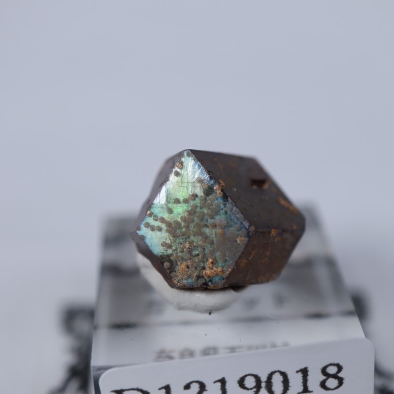 国産　オーロラレインボーガーネット　原石 鉱物標本 レインボーガーネット 97J 奈良県 - 鉱物標本・隕石標本販売の