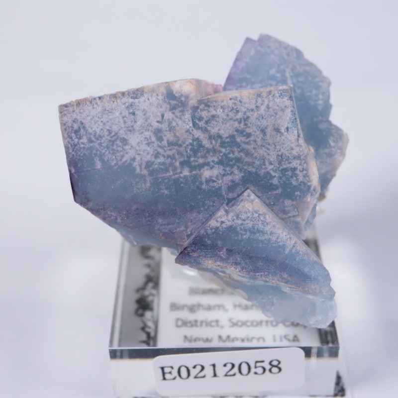 �˥塼�ᥭ���������ե����饤��