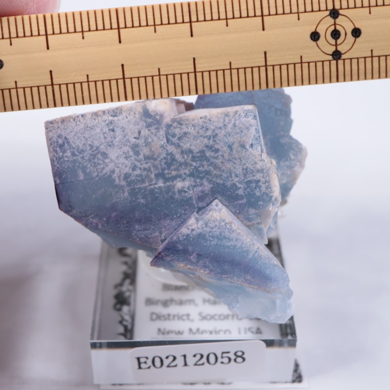 �˥塼�ᥭ���������ե����饤��