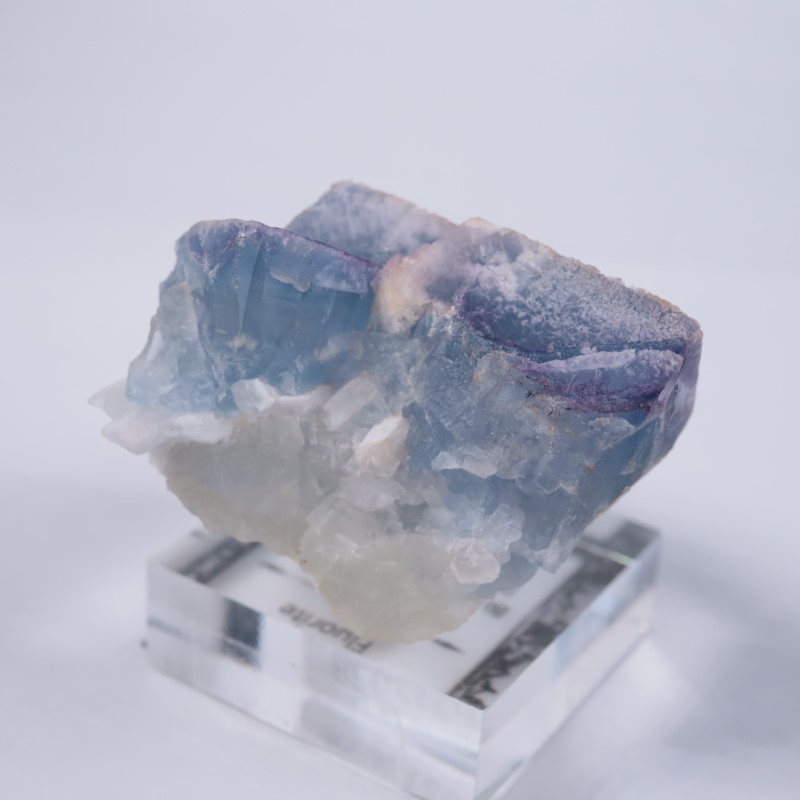 �˥塼�ᥭ���������ե����饤��