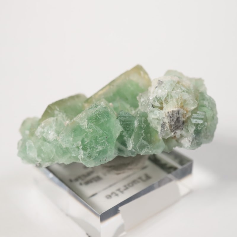 El Hammam鉱山 フローライト | 鉱物標本,ハ行,フローライト/蛍石