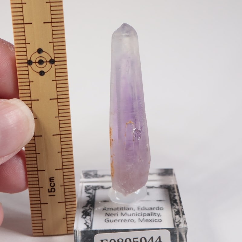 �ᥭ������ ���᥷����