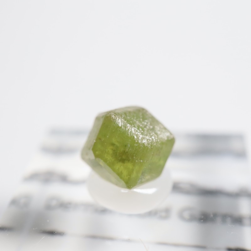 �ǥޥ�ȥ��ɥ����ͥå�