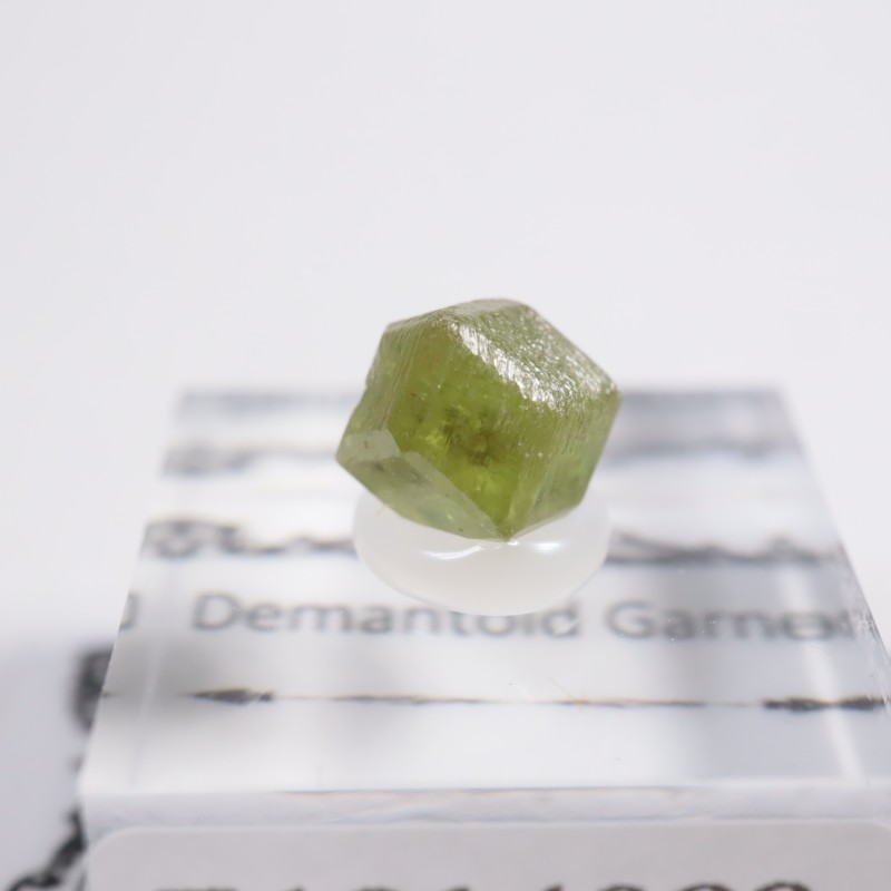 �ǥޥ�ȥ��ɥ����ͥå�