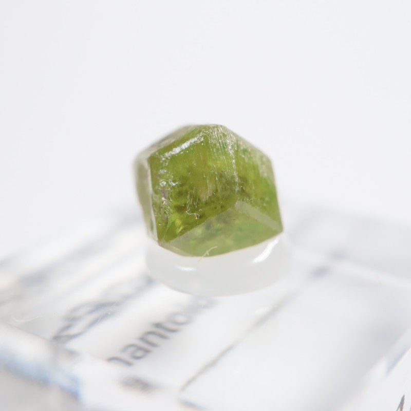 �ǥޥ�ȥ��ɥ����ͥå�