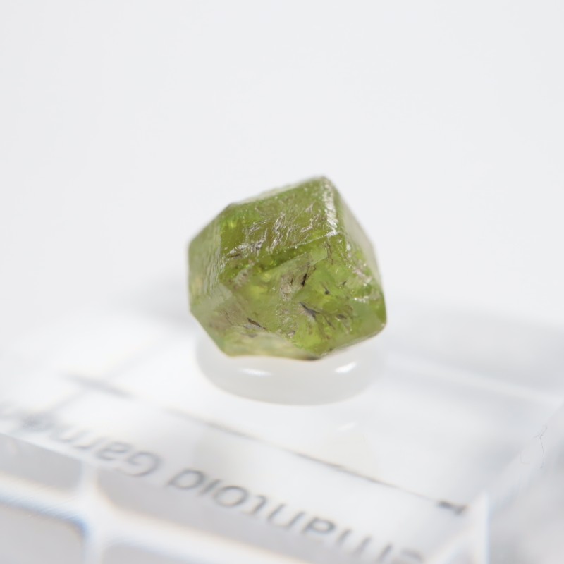 �ǥޥ�ȥ��ɥ����ͥå�