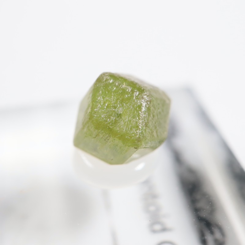 �ǥޥ�ȥ��ɥ����ͥå�