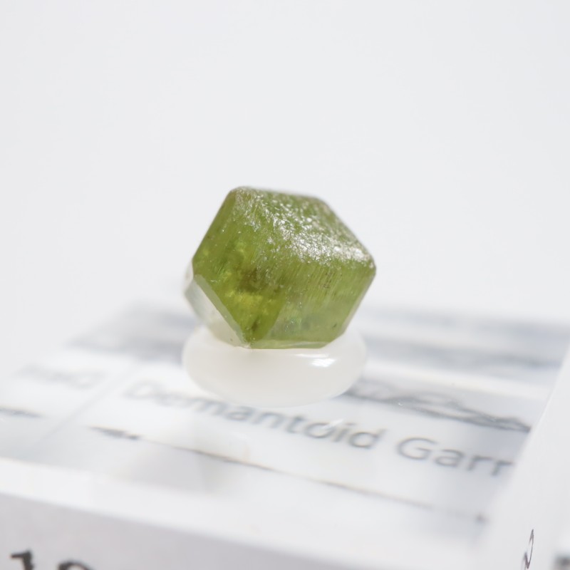 �ǥޥ�ȥ��ɥ����ͥå�