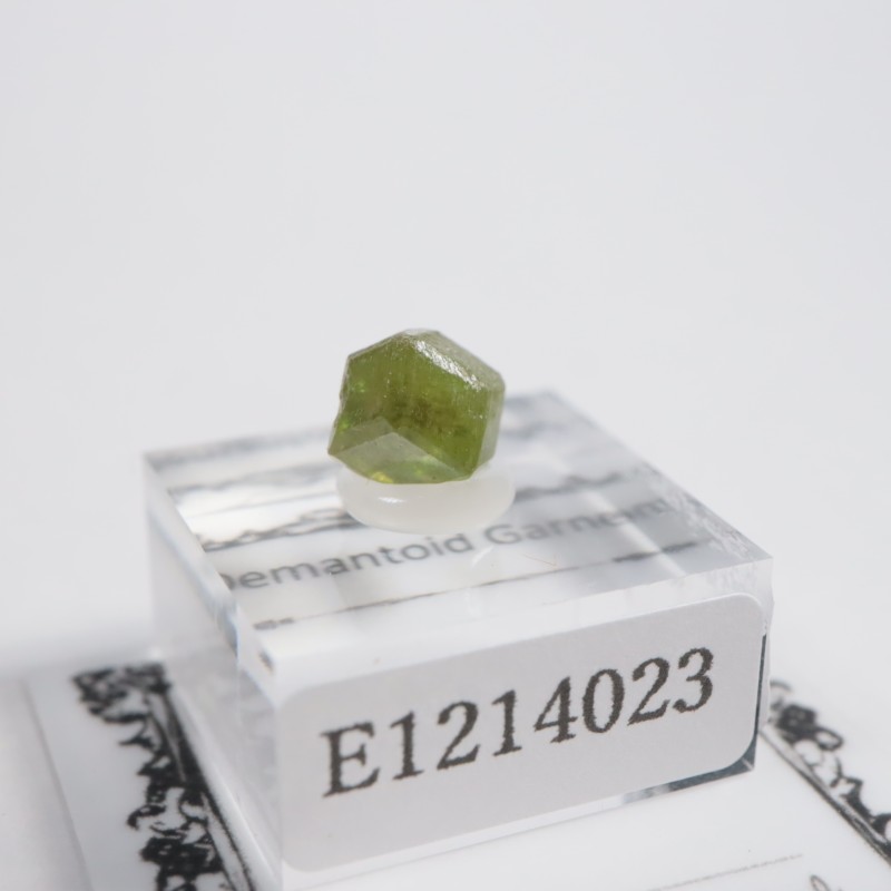 �ǥޥ�ȥ��ɥ����ͥå�