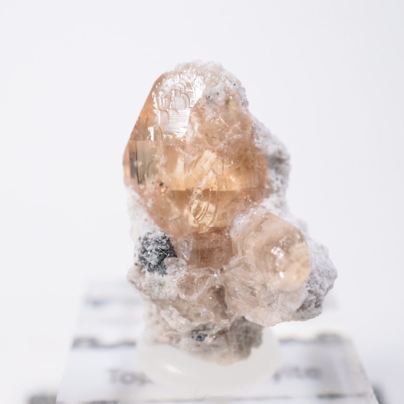 Solar Wind�ۻ��� �ȥѡ������ӥ����ӥ�����