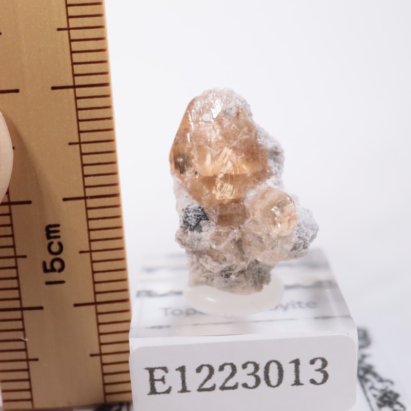 Solar Wind�ۻ��� �ȥѡ������ӥ����ӥ�����