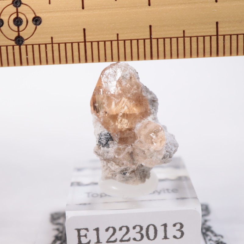 Solar Wind�ۻ��� �ȥѡ������ӥ����ӥ�����