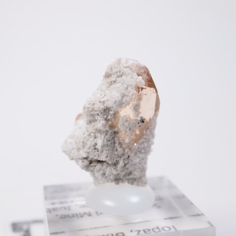 Solar Wind�ۻ��� �ȥѡ������ӥ����ӥ�����