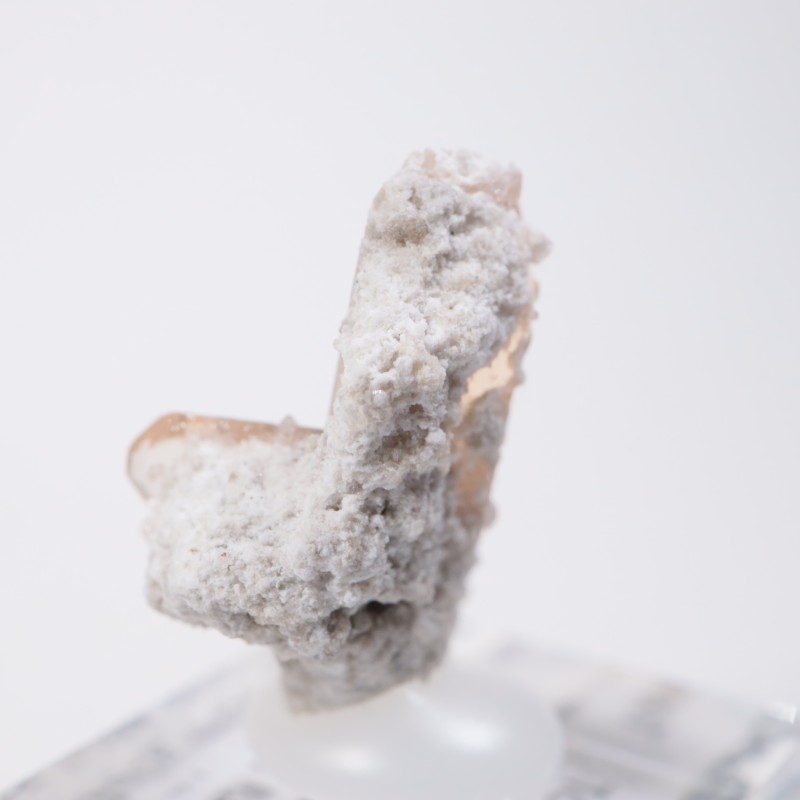 Solar Wind�ۻ��� �ȥѡ������ӥ����ӥ�����