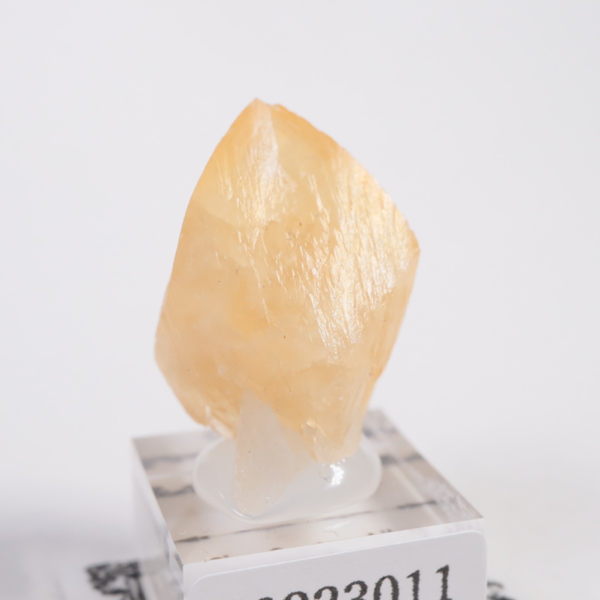 ���ϥ����� ���륵����