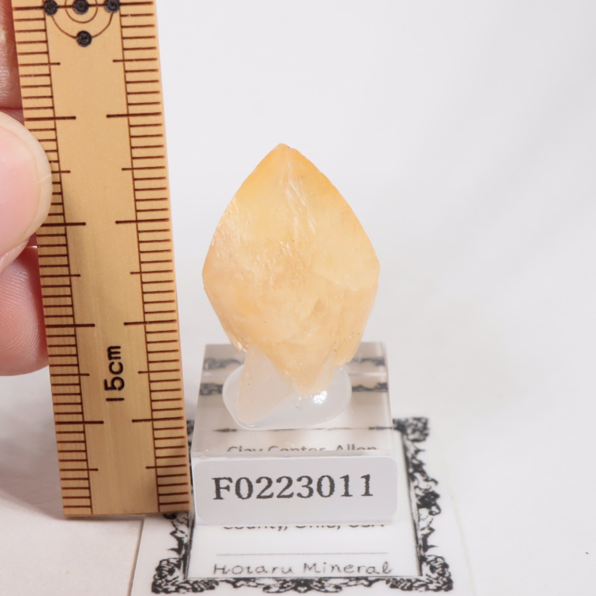 ���ϥ����� ���륵����