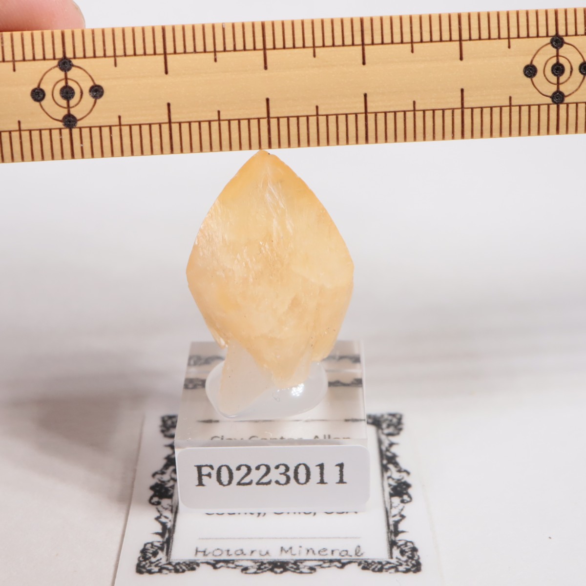 ���ϥ����� ���륵����